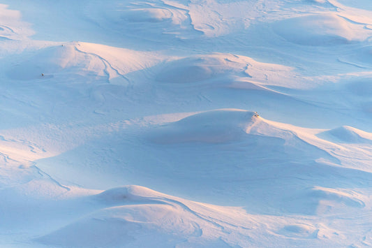 Restore and Repair Your Skin Barrier After Winter